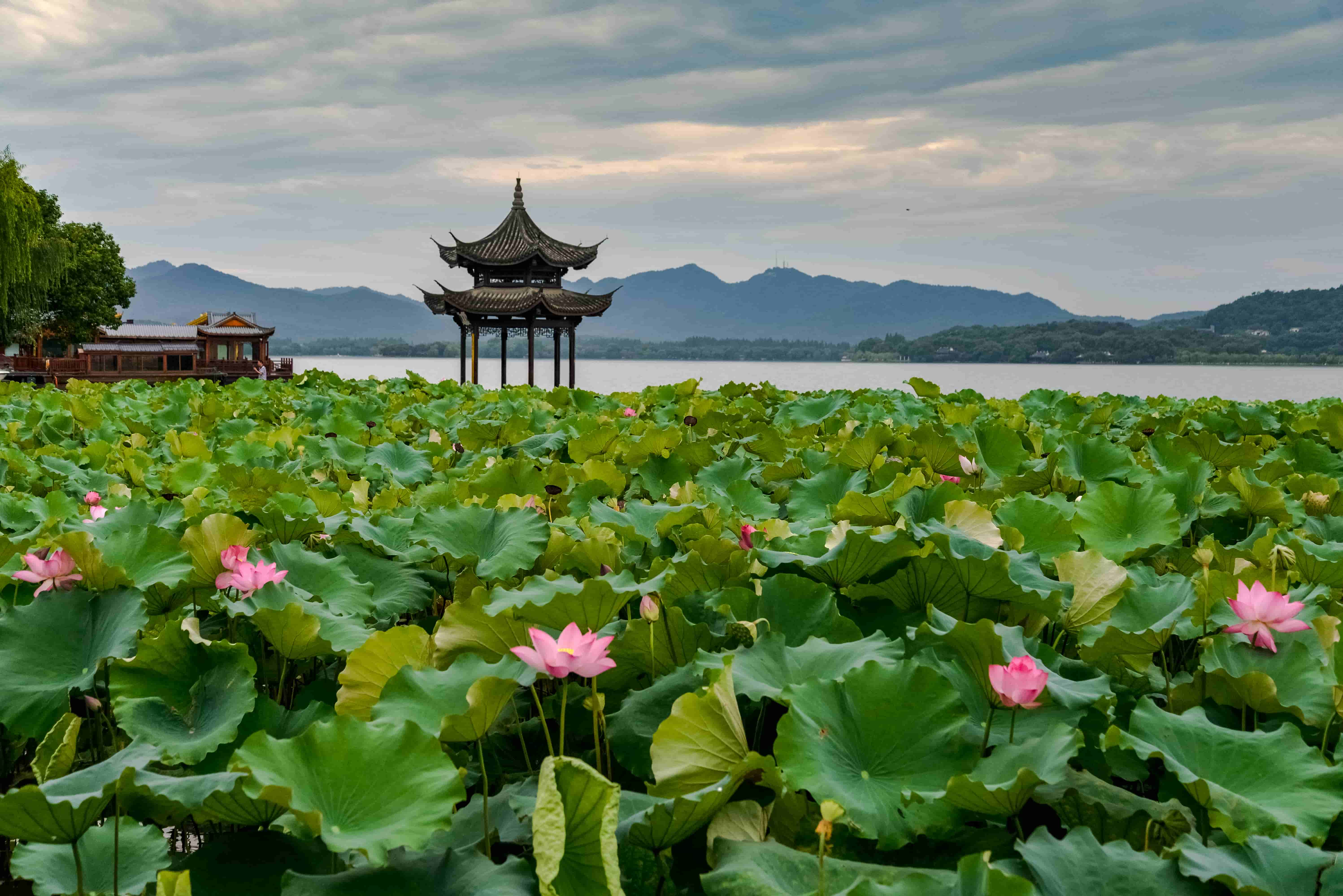 浅谈分层图